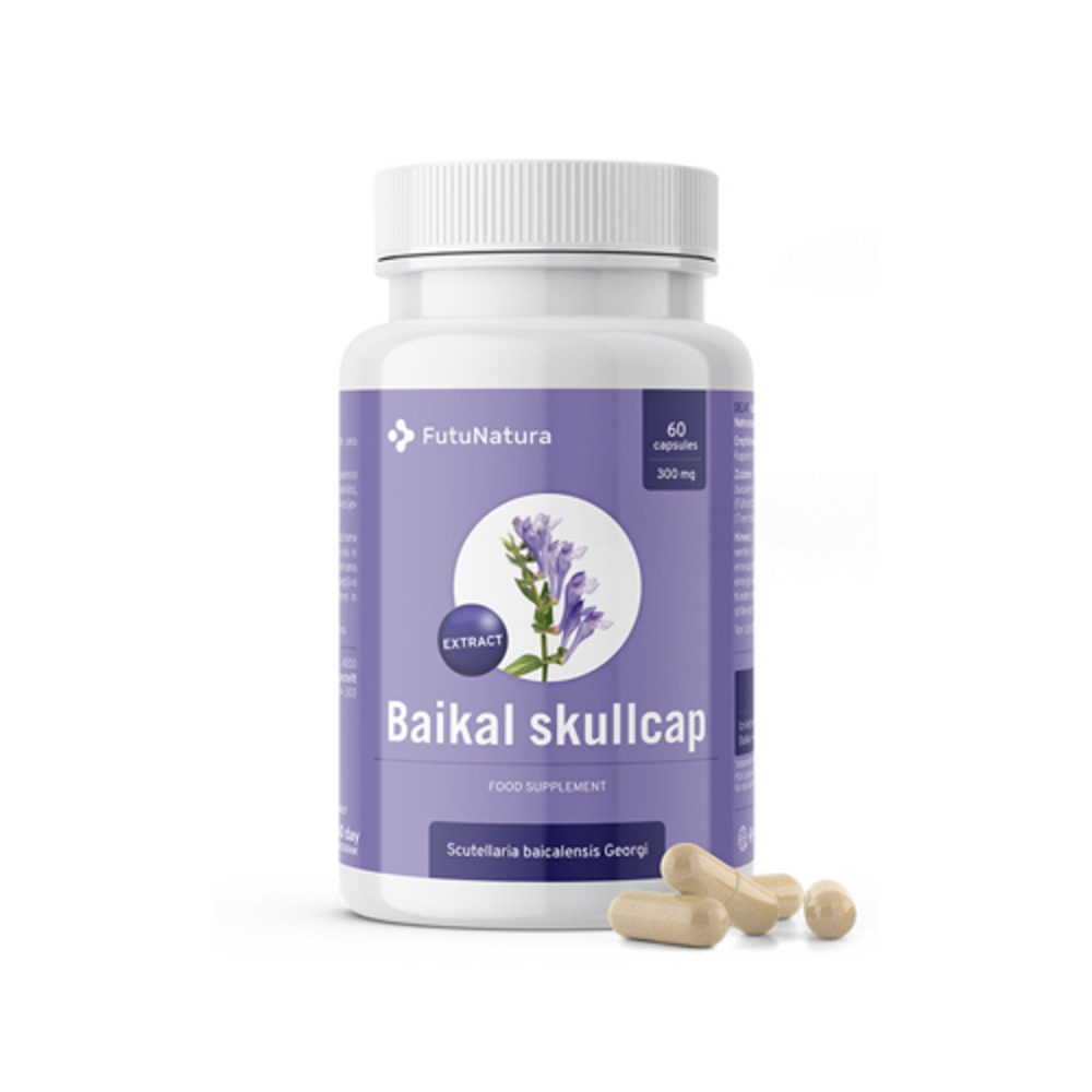 Baikal Skullcap - Extract