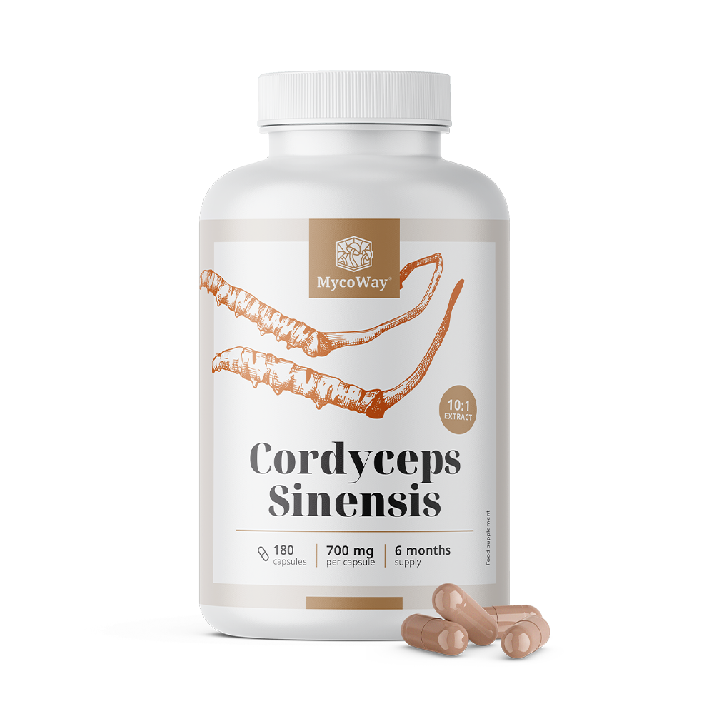 Cordyceps Sinensis 1400 mg - Extract 10:1, 180 capsules