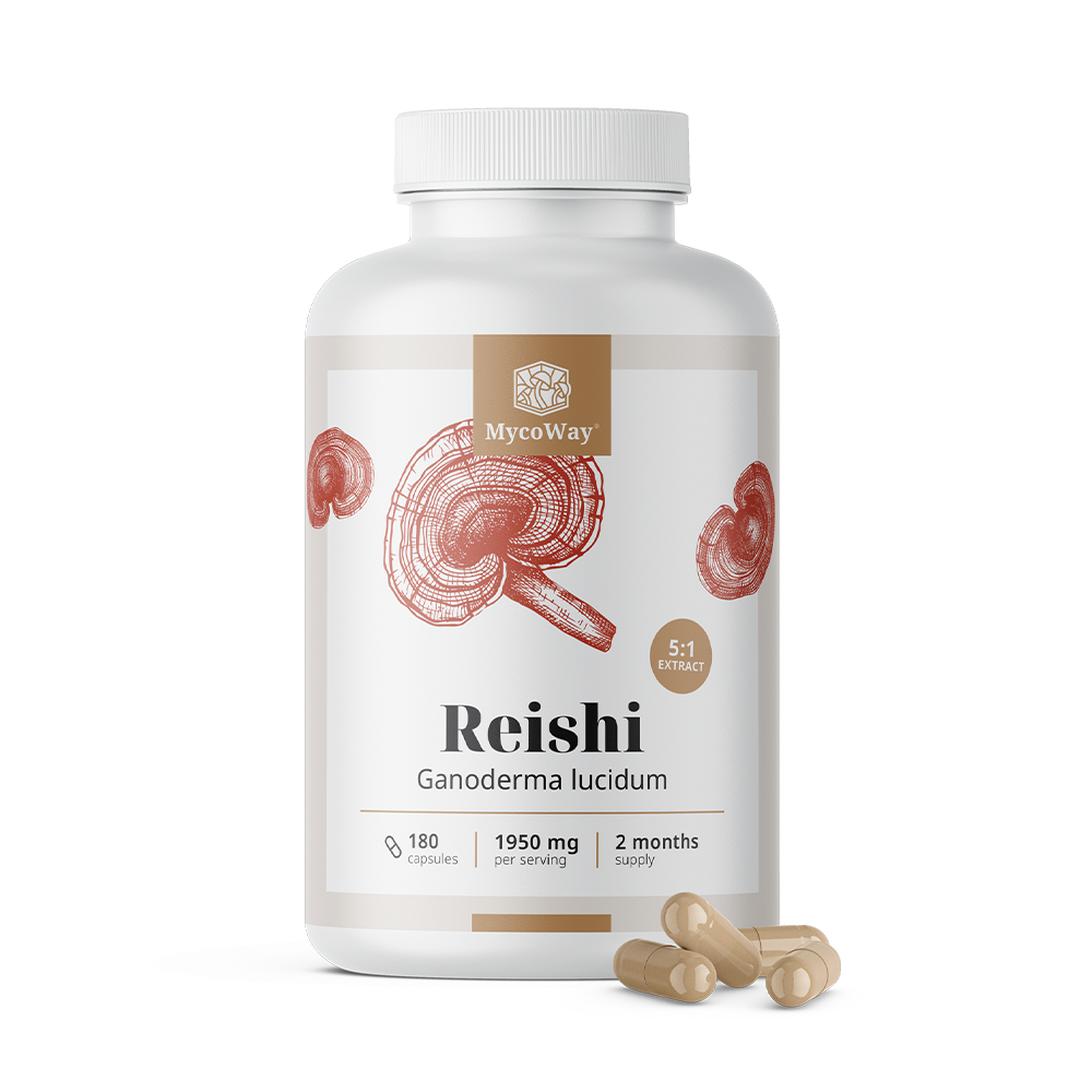 Reishi 1950 mg - Extract 5:1, 180 capsules