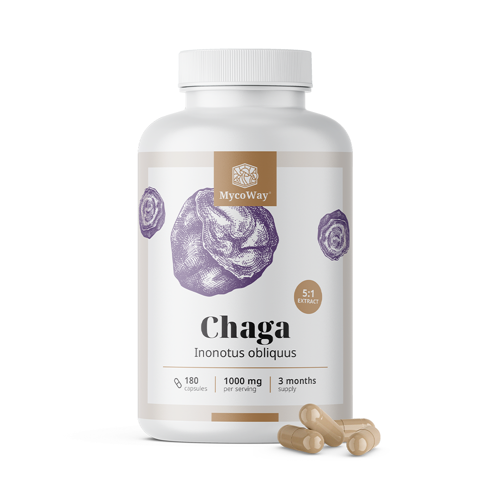 Chaga 1000 mg - Extract 5:1, 180 capsules