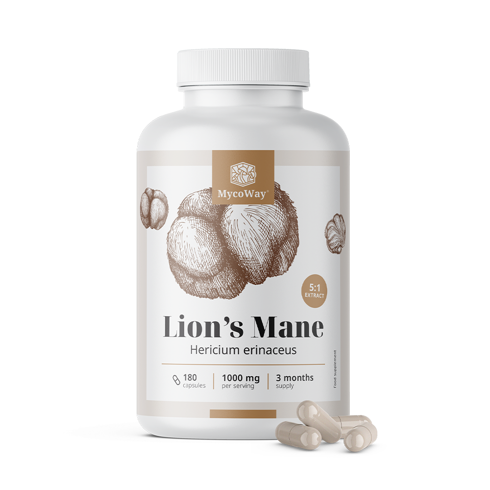 Lion’s Mane 1000 mg – 5:1 Extract, 180 capsules