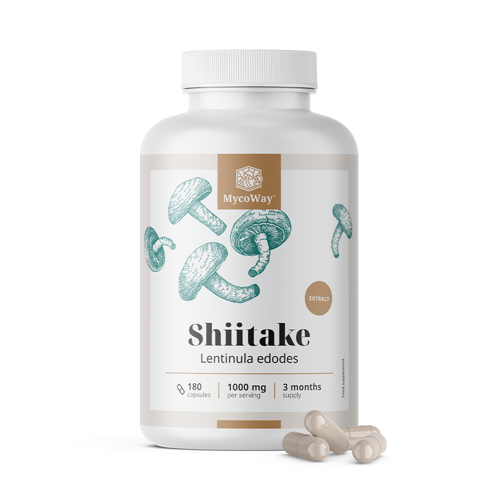 Shiitake 1000 mg - Extract, 180 capsules