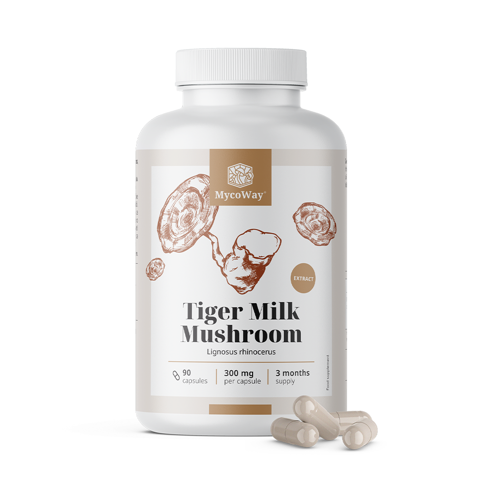Tiger Milk Mushroom 300 mg – Lignosus Rhinocerus Extract, 90 capsules