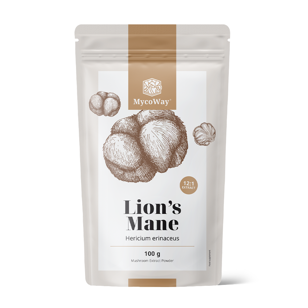 Lion's Mane - Extract 12:1, 100 g