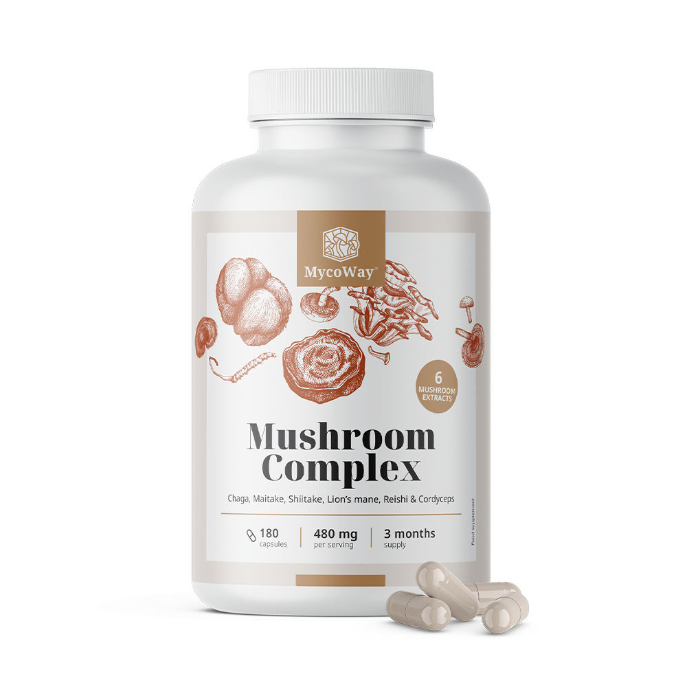 Mushroom Complex, 180 capsules
