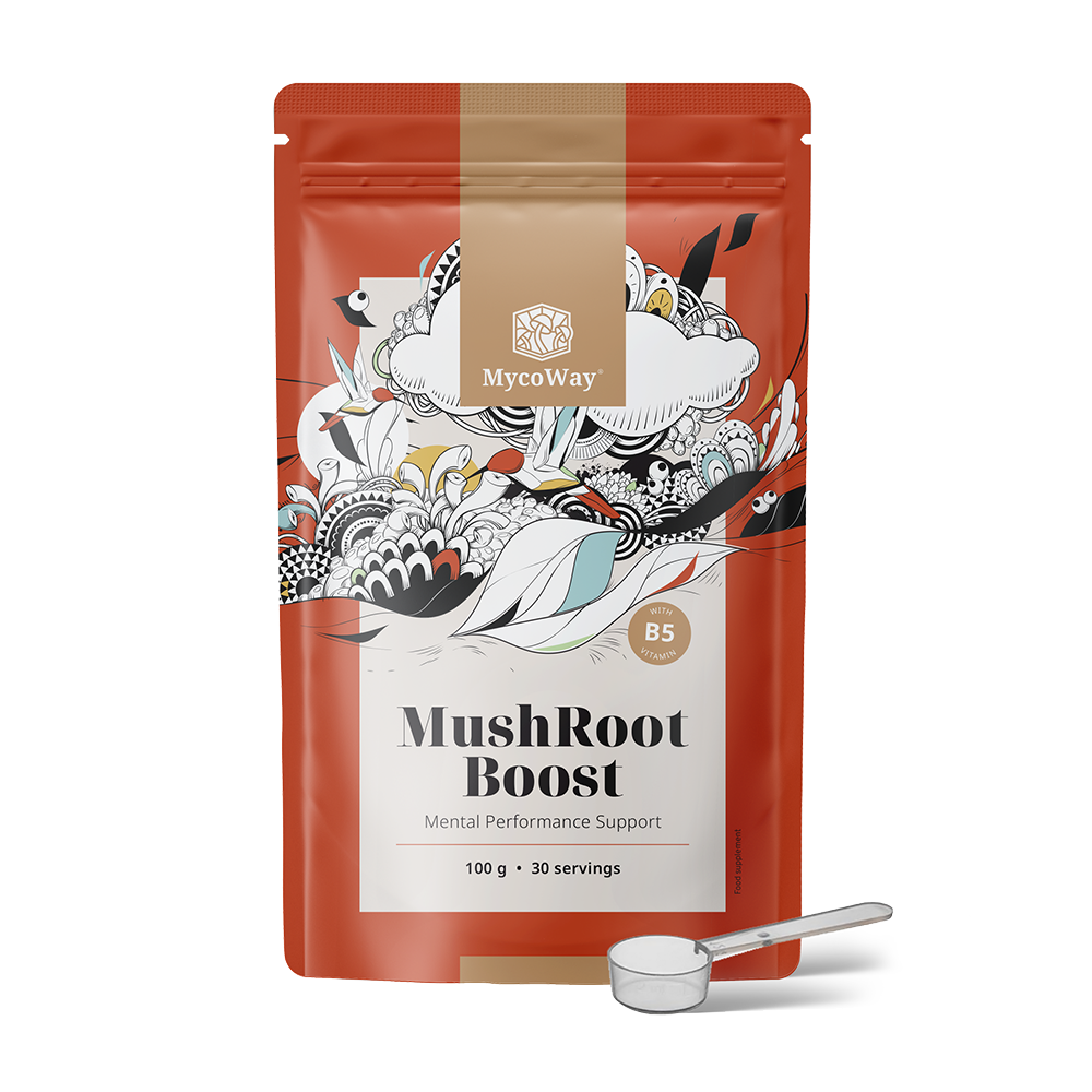 MushRoot Boost – Drink for Mental Performance, 100 g